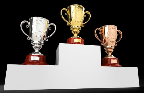 Competition Winner Trophies